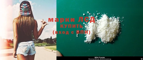 стафф Алзамай