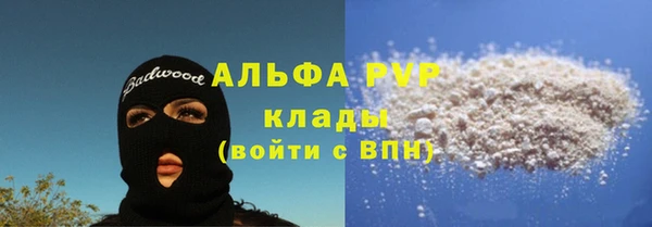 стафф Алзамай