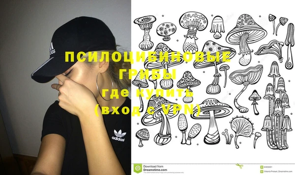 стафф Алзамай