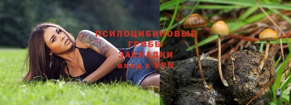 соль ск Алексин