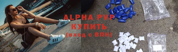 стафф Алзамай